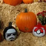 Dogwood Acre's Family Farm Fall Festival photo
