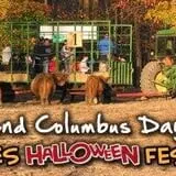 Dogwood Acre's Family Farm Fall Festival photo