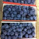 Ochs Fruit Farm photo