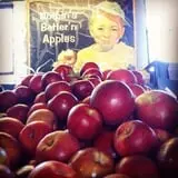 Ochs Fruit Farm photo