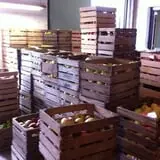Ochs Fruit Farm photo