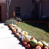 Ochs Fruit Farm photo