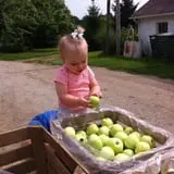 Ochs Fruit Farm photo