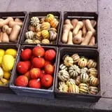 Ochs Fruit Farm photo