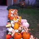 Ochs Fruit Farm photo