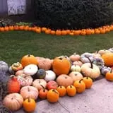 Ochs Fruit Farm photo