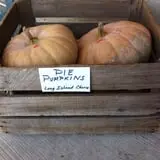 Ochs Fruit Farm photo