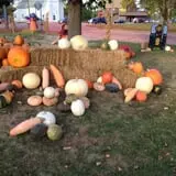Altermatt Farms and Greenhouses photo
