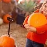 Buell's Orchard Pumpkin Picking & Hayride photo