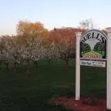 Buell's Orchard Pumpkin Picking & Hayride photo