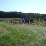 Buell's Orchard Pumpkin Picking & Hayride photo