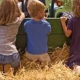 Buell's Orchard Pumpkin Picking & Hayride photo