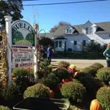 Buell's Orchard Pumpkin Picking & Hayride photo