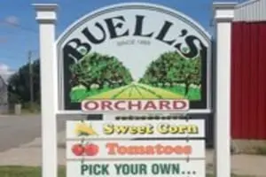 Buell's Orchard Pumpkin Picking & Hayride