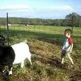 Living Waters Ranch Fall Festival photo