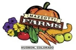 Mazzotti's Corn Maze & Pumpkin Patch
