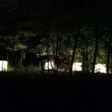 The Haunting  photo