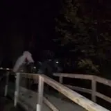The Haunting