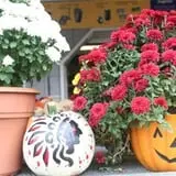 Twin Pond Farm Garden Center Halloween Family Fun photo