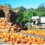 Twin Pond Farm Garden Center Halloween Family Fun photo