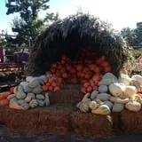 Twin Pond Farm Garden Center Halloween Family Fun photo
