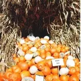 Twin Pond Farm Garden Center Halloween Family Fun photo