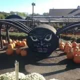 Twin Pond Farm Garden Center Halloween Family Fun photo