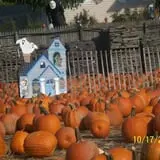 Twin Pond Farm Garden Center Halloween Family Fun photo