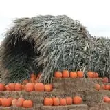 Twin Pond Farm Garden Center Halloween Family Fun photo