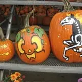 Twin Pond Farm Garden Center Halloween Family Fun photo