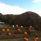 Twin Pond Farm Garden Center Halloween Family Fun photo