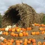 Twin Pond Farm Garden Center Halloween Family Fun photo