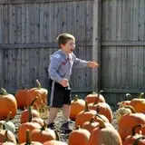 Twin Pond Farm Garden Center Halloween Family Fun photo