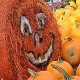 Twin Pond Farm Garden Center Halloween Family Fun photo