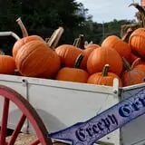 Twin Pond Farm Garden Center Halloween Family Fun photo