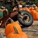 Twin Pond Farm Garden Center Halloween Family Fun photo