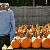 Twin Pond Farm Garden Center Halloween Family Fun photo