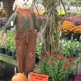 Twin Pond Farm Garden Center Halloween Family Fun photo