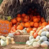 Twin Pond Farm Garden Center Halloween Family Fun photo