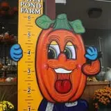 Twin Pond Farm Garden Center Halloween Family Fun photo