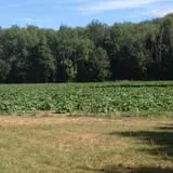 Post Family Farm photo