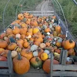Post Family Farm photo