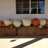 Post Family Farm photo