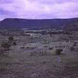 Dawson Cemetery photo