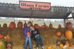 Olson Farms Pumpkin Patch