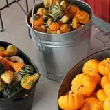 Happy Day Farms Pumpkin Patch photo