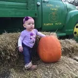 Happy Day Farms Pumpkin Patch photo