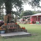 Happy Day Farms Pumpkin Patch photo