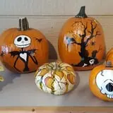 Lendt's Pumpkin Patch photo