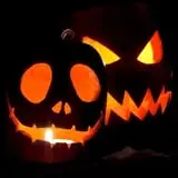Lendt's Pumpkin Patch photo